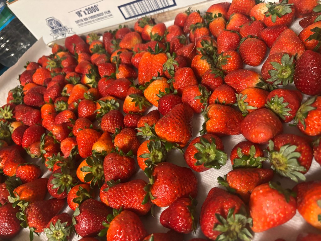 Valentine’s Day 2026